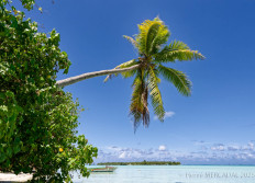 Polynésie mars 2025